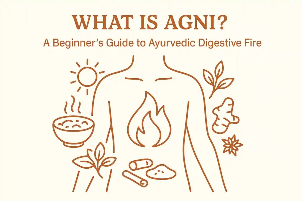 WhatsApp Image 2025 11 03 at 7.16.57 PM