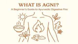 WhatsApp Image 2025 11 03 at 7.16.57 PM